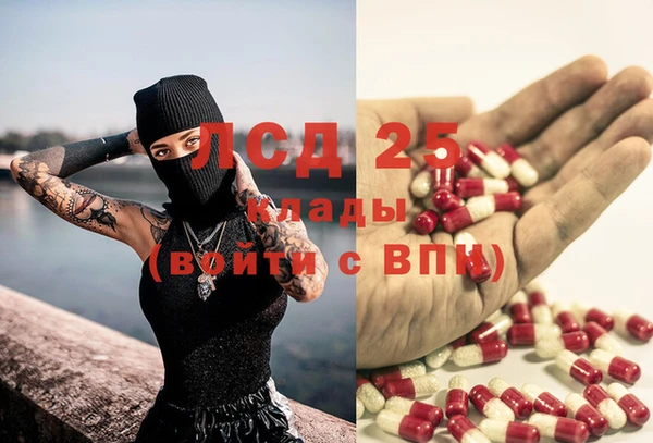 spice Белокуриха