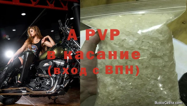 spice Белокуриха
