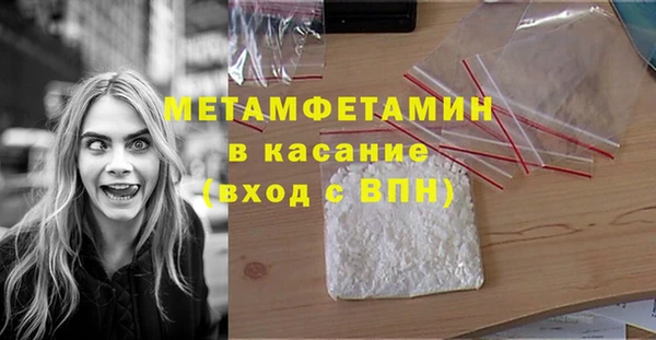 сатива Беломорск