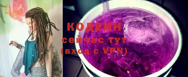 сатива Беломорск